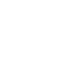 ML Developers logo
